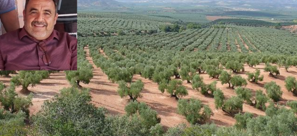LA PRODUCCIÓN DE OLIVO EN OJINAGA PUEDE SER OTRA OPCIÓN PARA EL CAMPO: ANDRÉS RAMOS LA PRODUCCIÓN DE OLIVO EN OJINAGA PUEDE SER OTRA OPCIÓN PARA EL CAMPO: ANDRÉS RAMOS